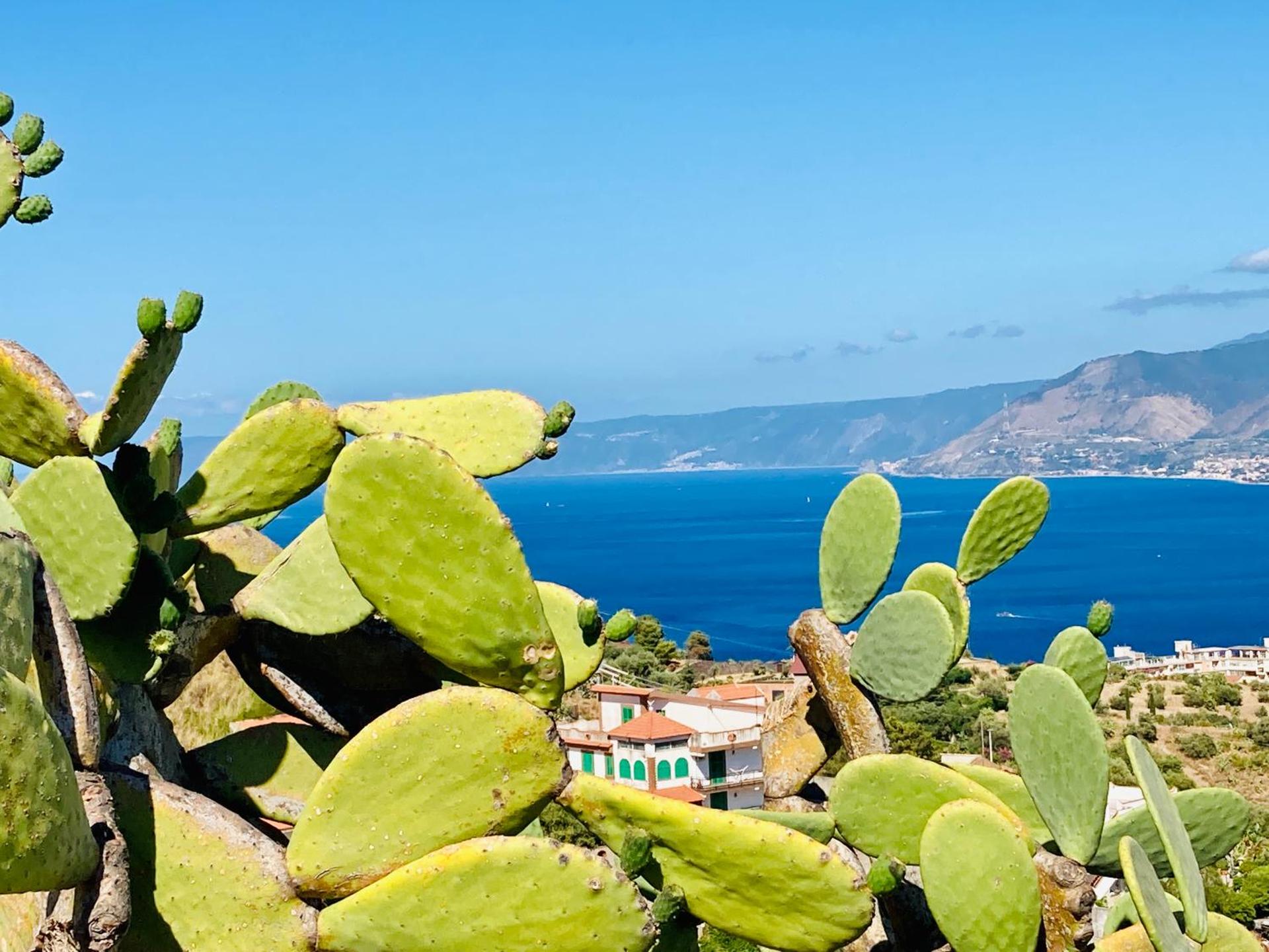 Villa Scilla e Cariddi - Photo 21