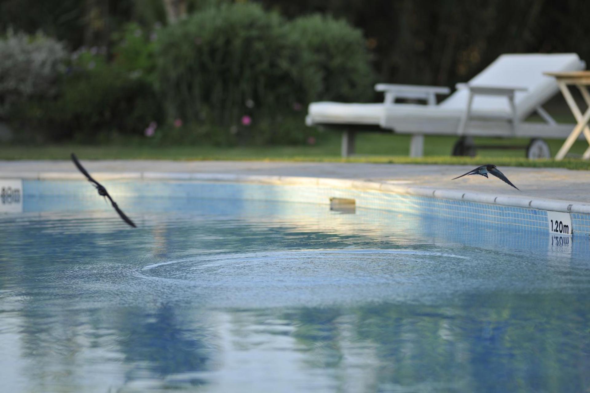 Ammos Naxos Exclusive Apartments & Studios - Photo 103