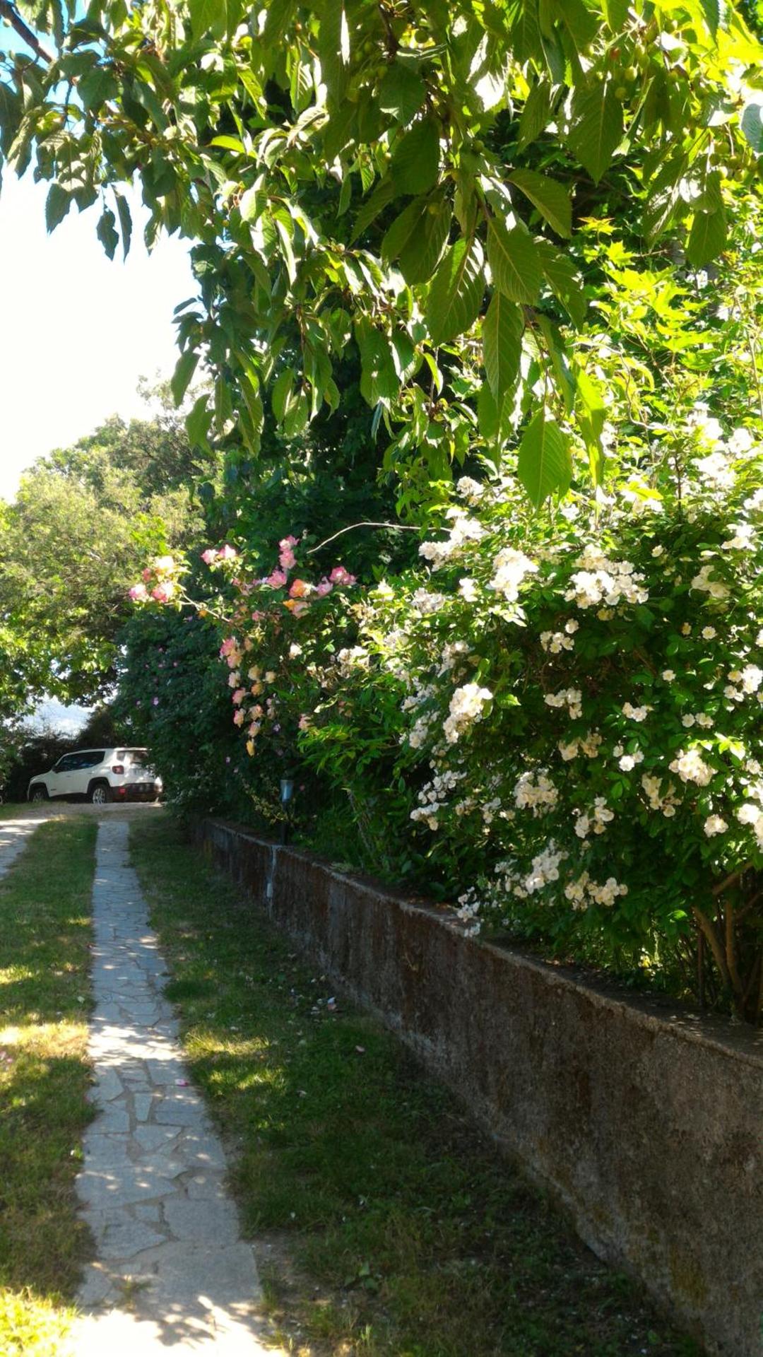 B&B Meladormo - Photo 38