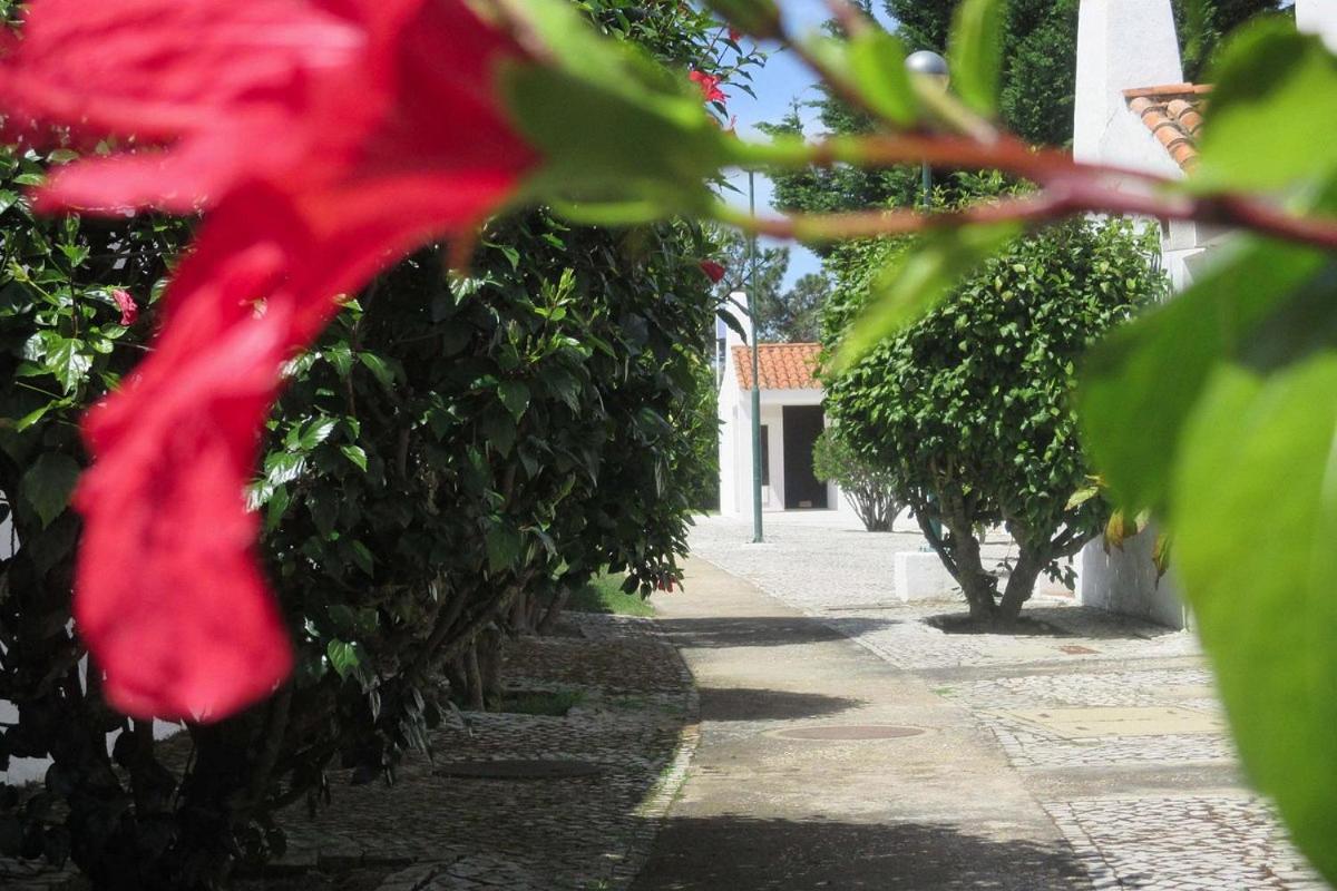Aldeia Da Falesia - Photo 102
