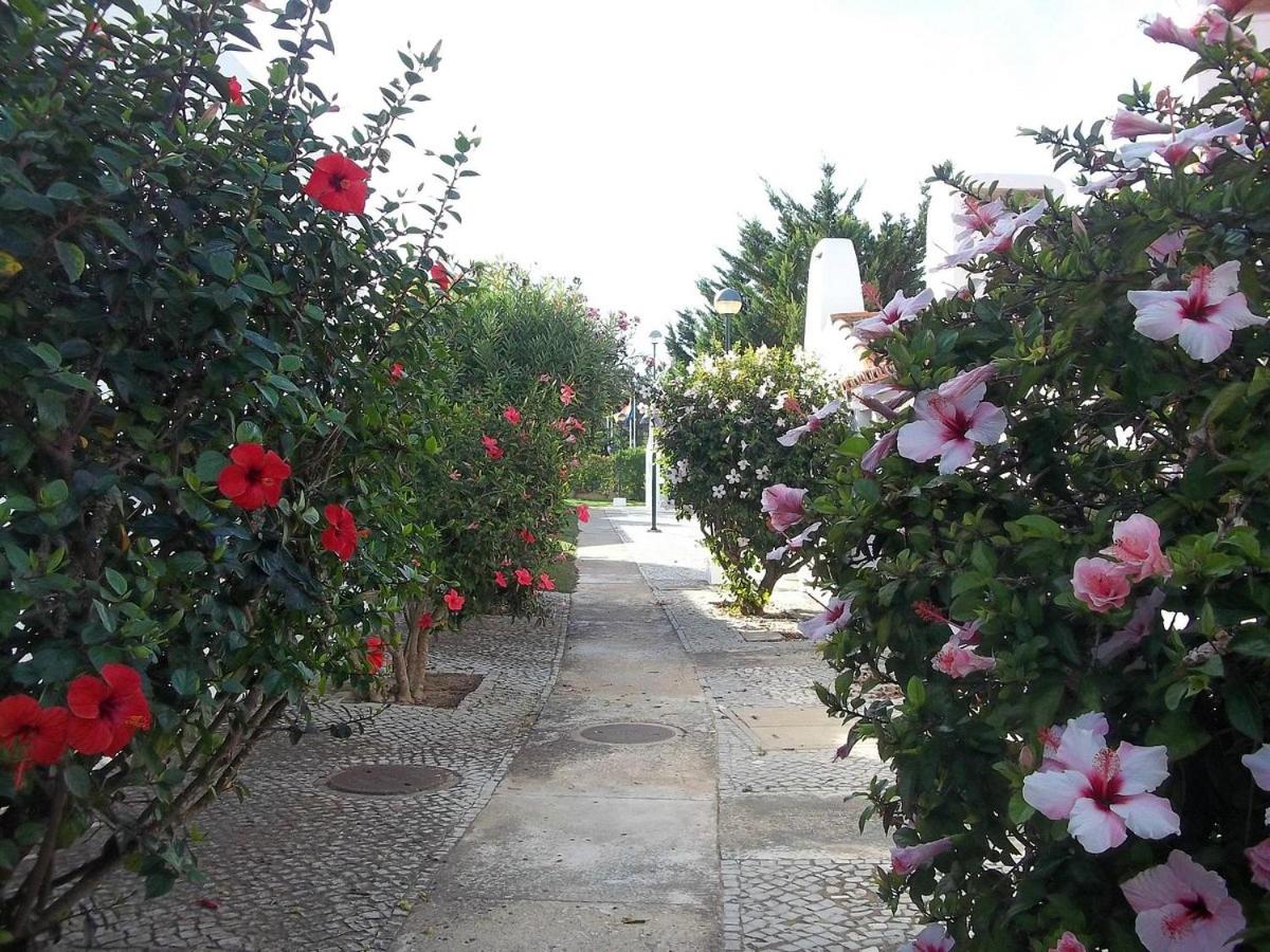 Aldeia Da Falesia - Photo 103