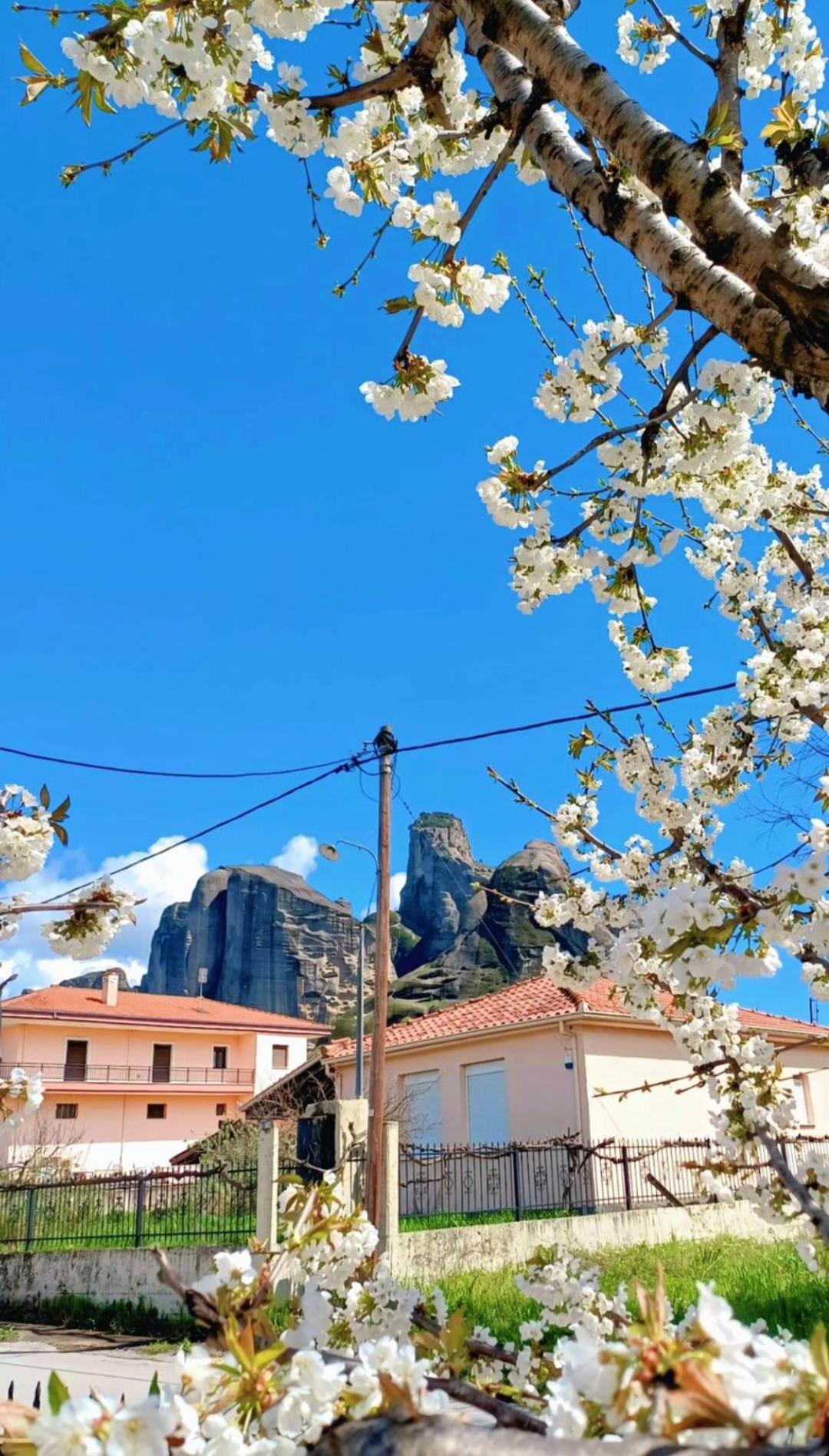 Room Ntina Kastraki - Photo 58