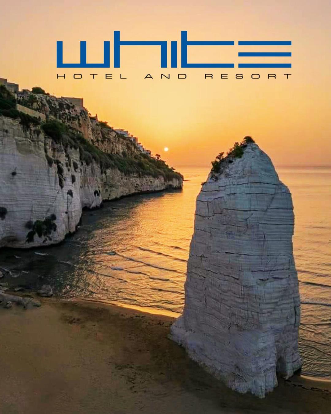 White Hotel - Photo 179