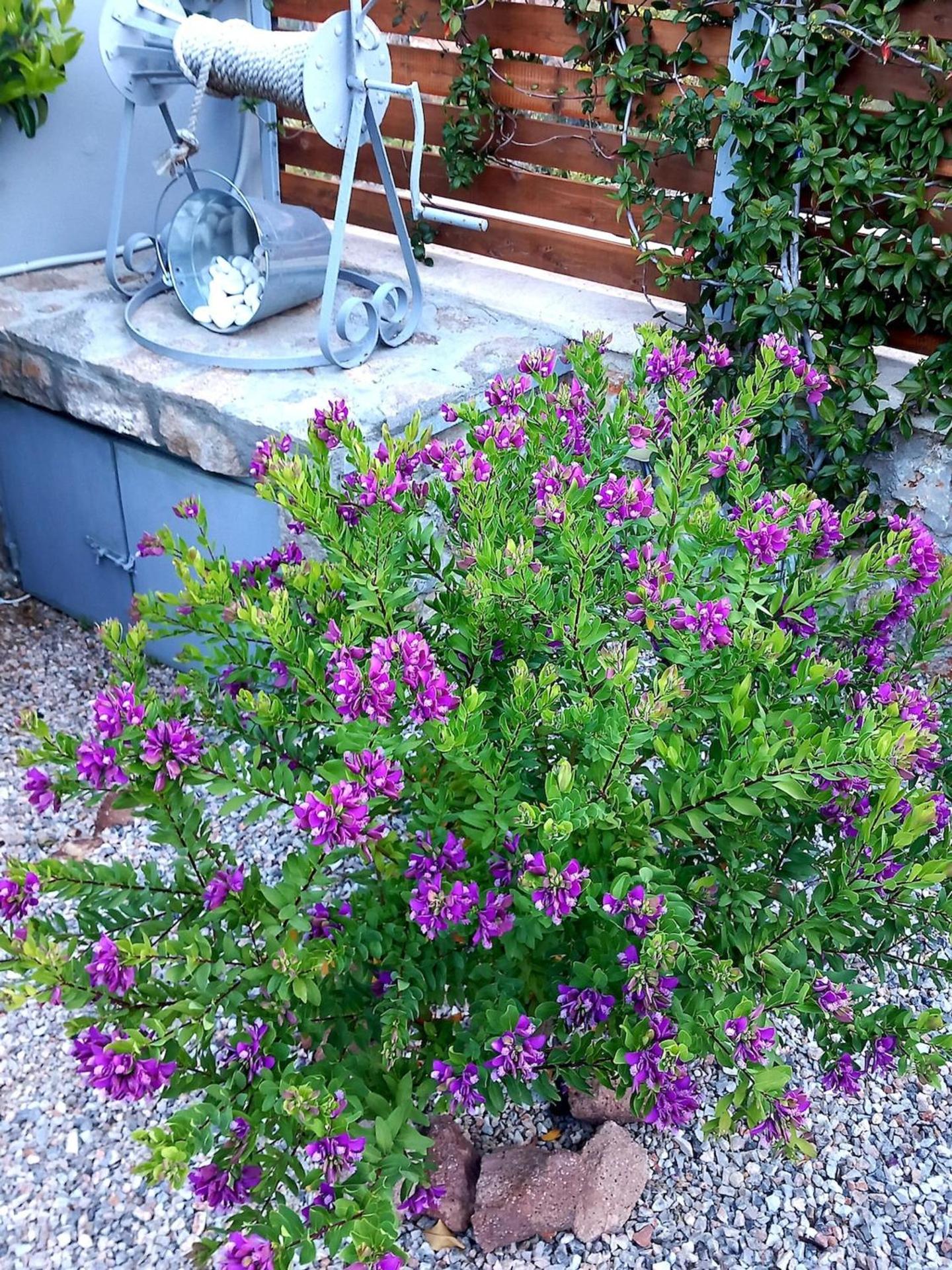 La Casa Del Sol Villa Aegina - Photo 33