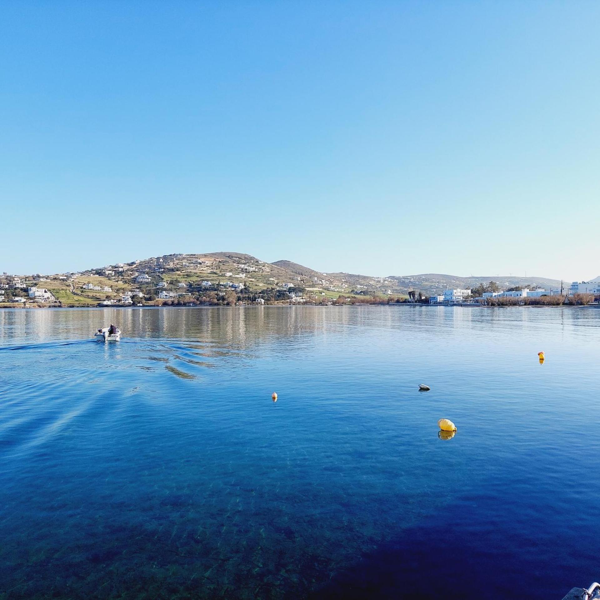 Diplos Studios - Photo 165