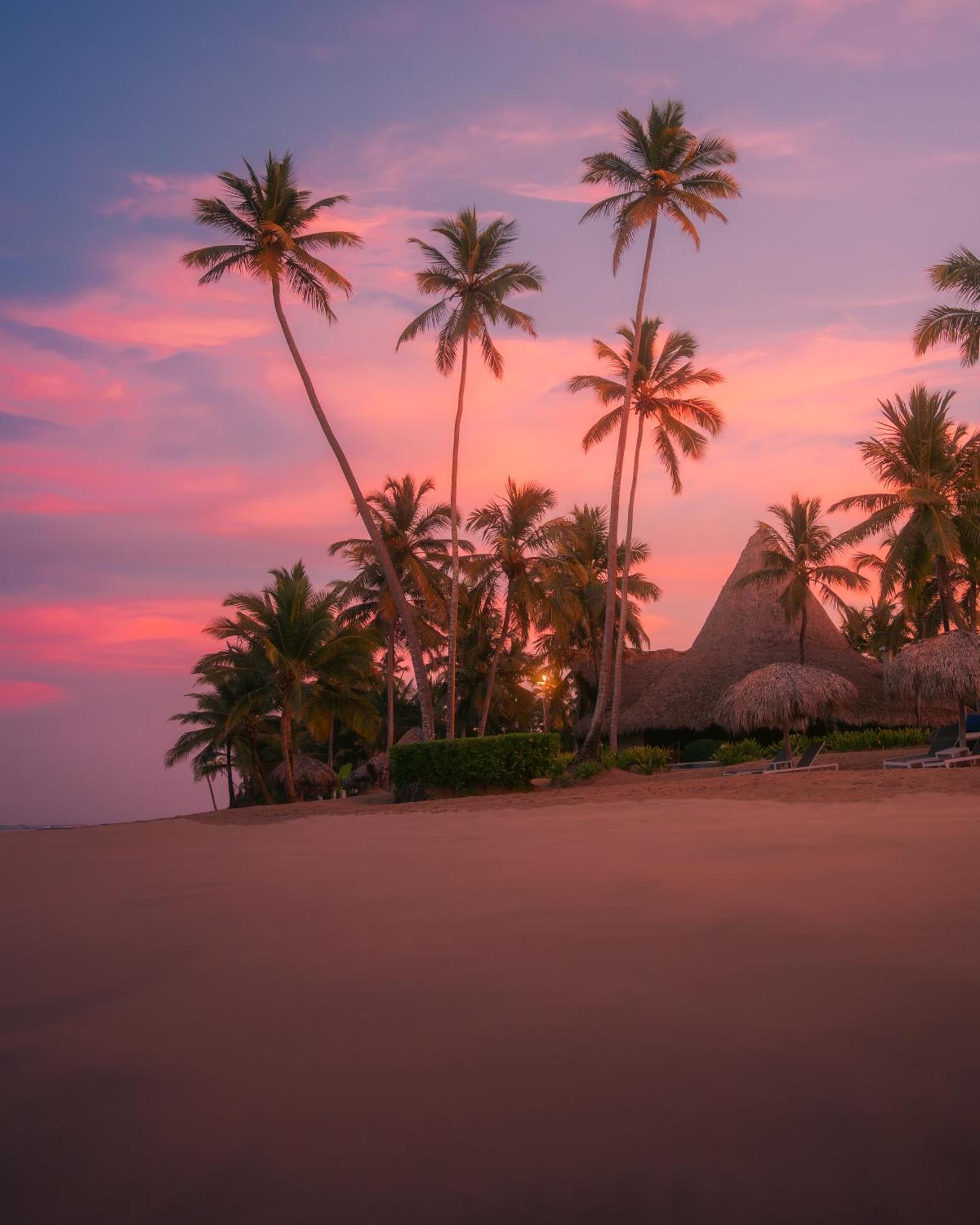 Zoetry Agua Punta Cana - All Inclusive - Photo 95