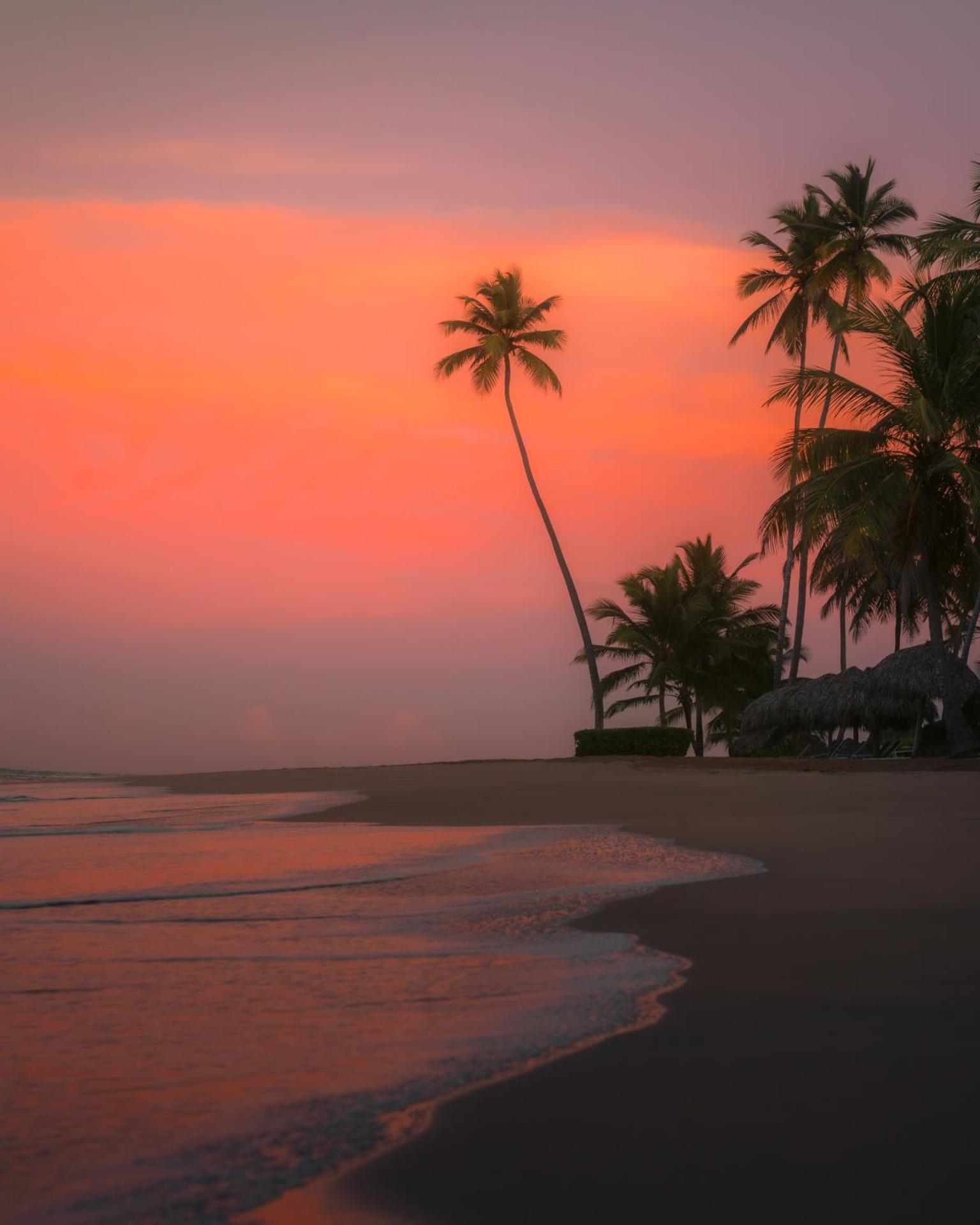 Zoetry Agua Punta Cana - All Inclusive - Photo 97