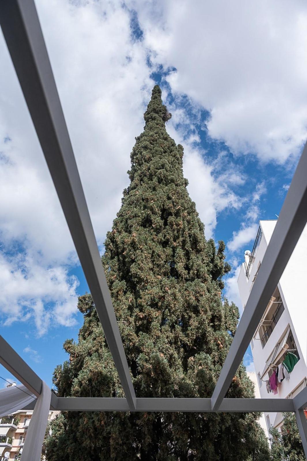 Athenian Cypress House - Photo 80