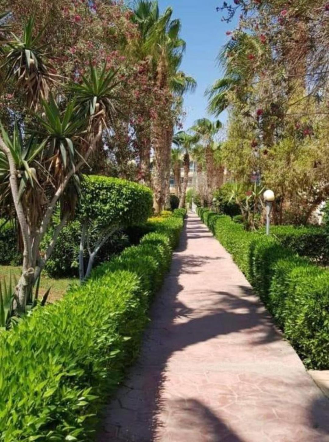 Lilyland Beach Resort & Waterpark - Photo 64