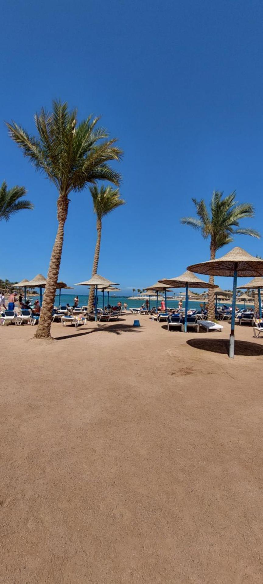 Lilyland Beach Resort & Waterpark - Photo 91