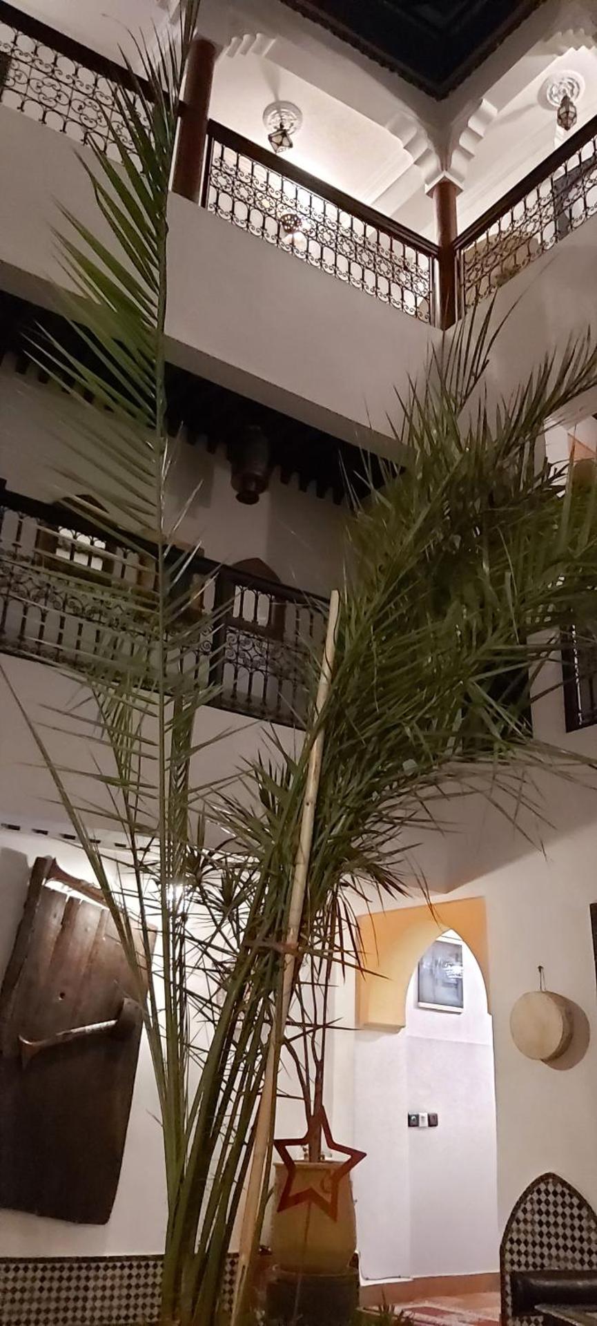 Riad Ajebel - Photo 90