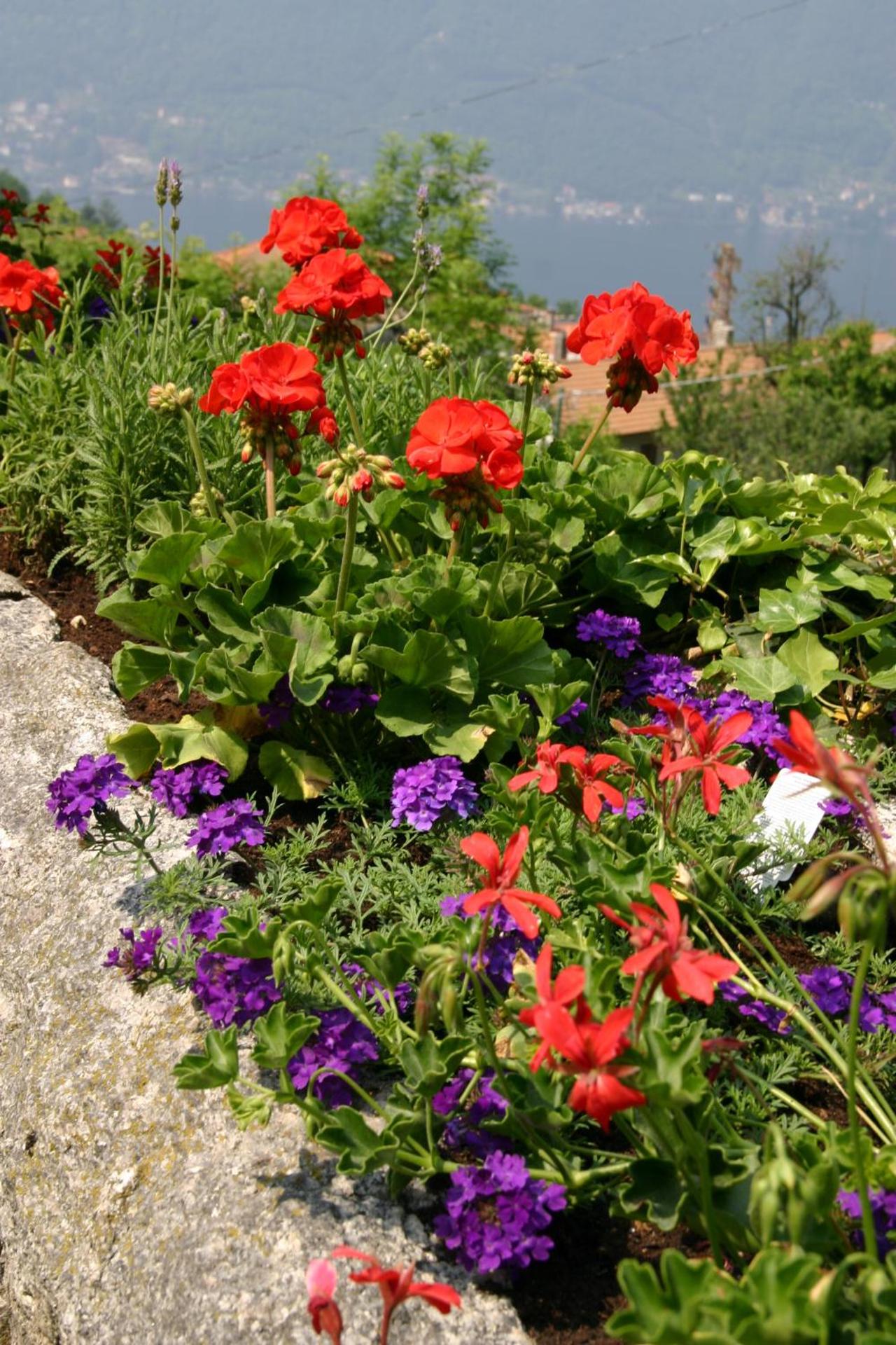 La Ruota del Mulino - Photo 40