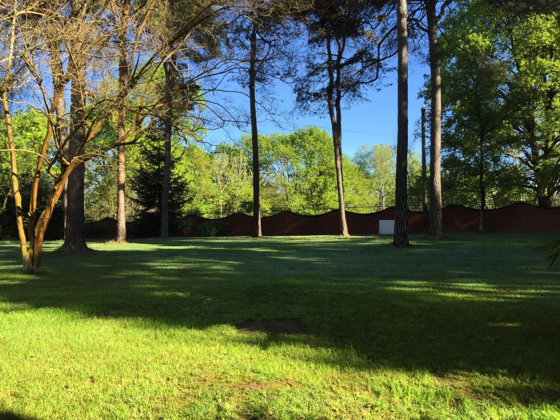 Bed&Garden - Photo 49