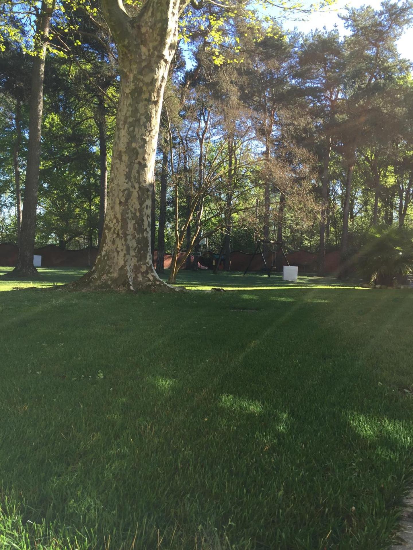 Bed&Garden - Photo 78