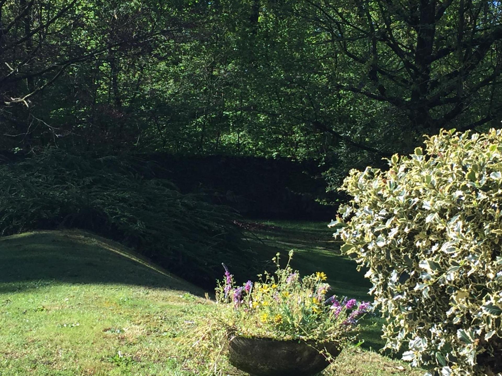 Bed&Garden - Photo 10