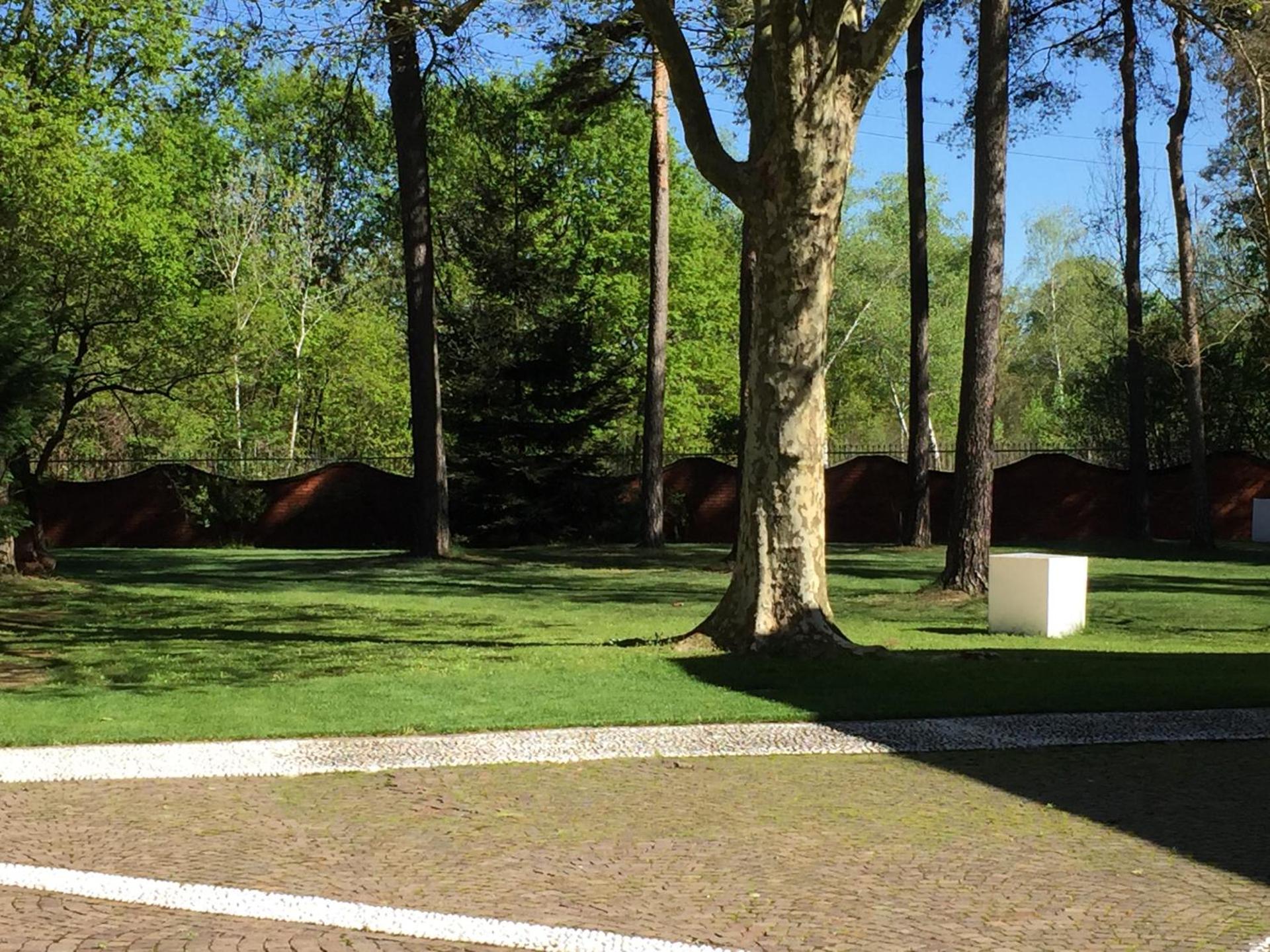 Bed&Garden - Photo 13