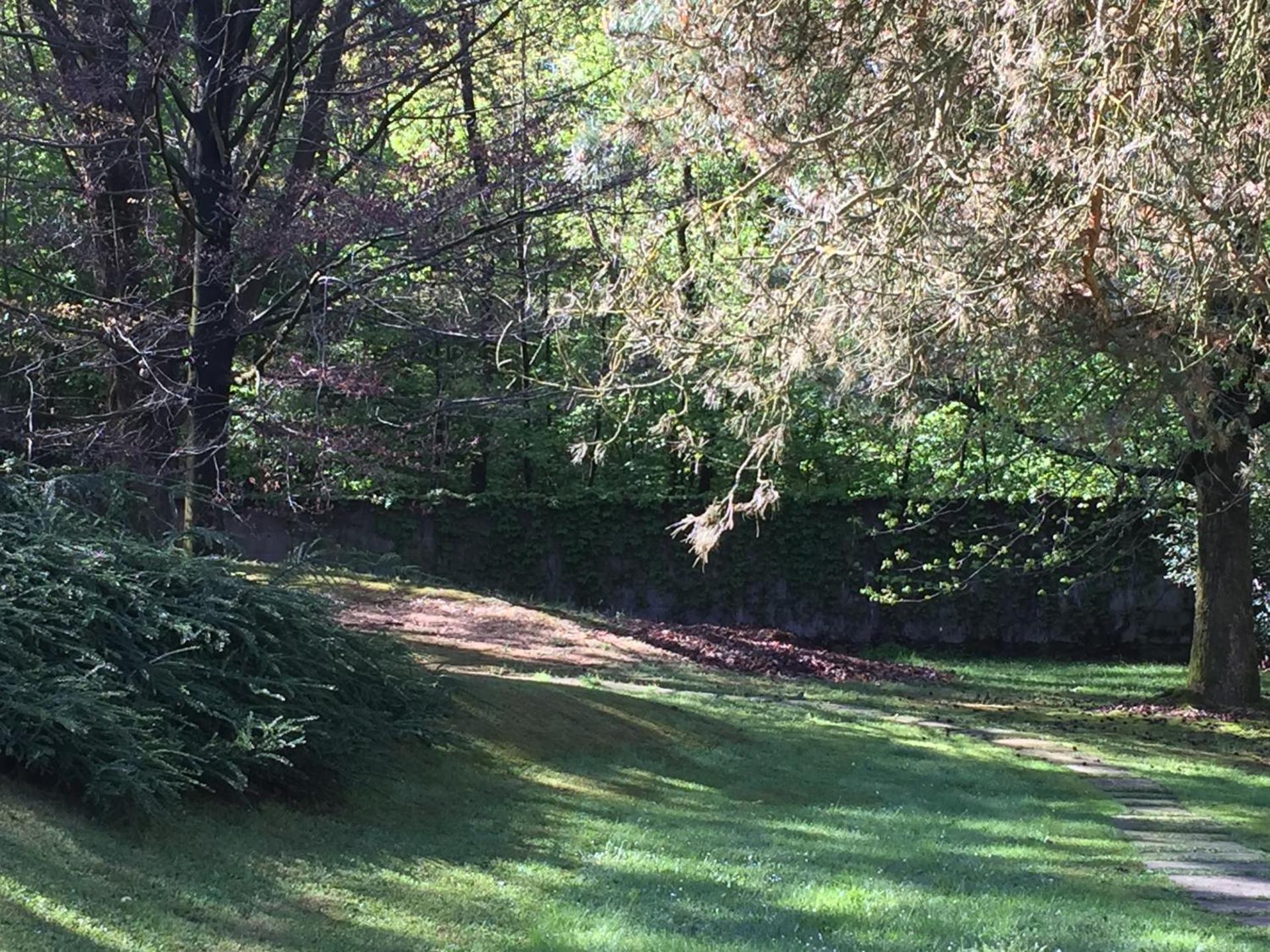 Bed&Garden - Photo 14