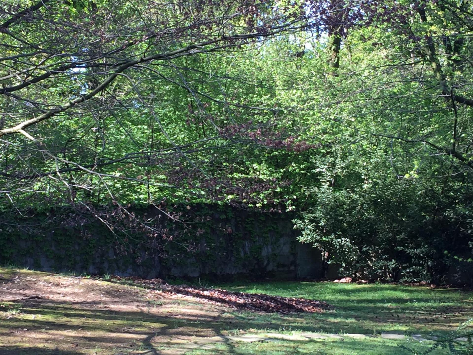 Bed&Garden - Photo 77