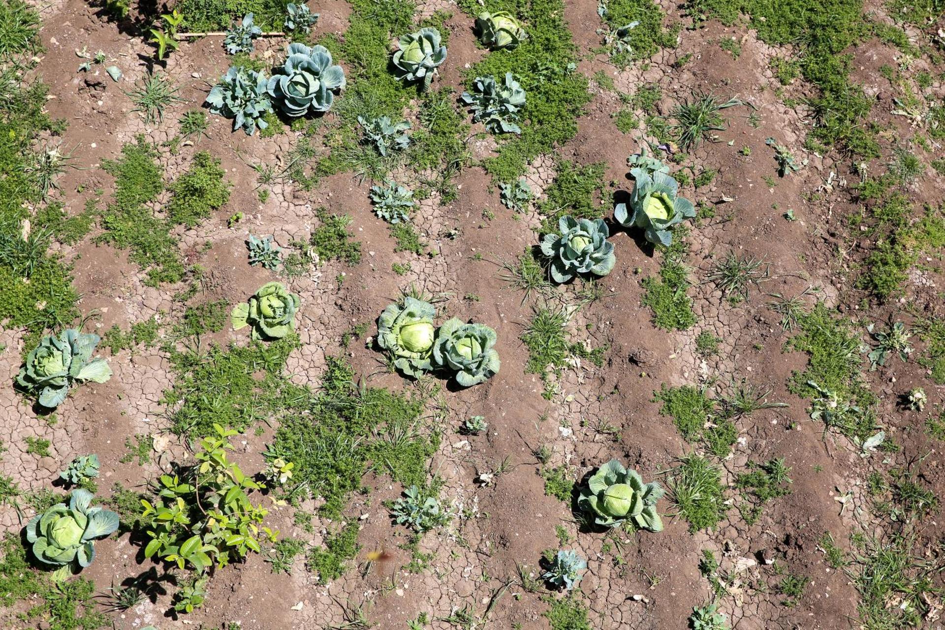 Sharqotel Luxor - Photo 114