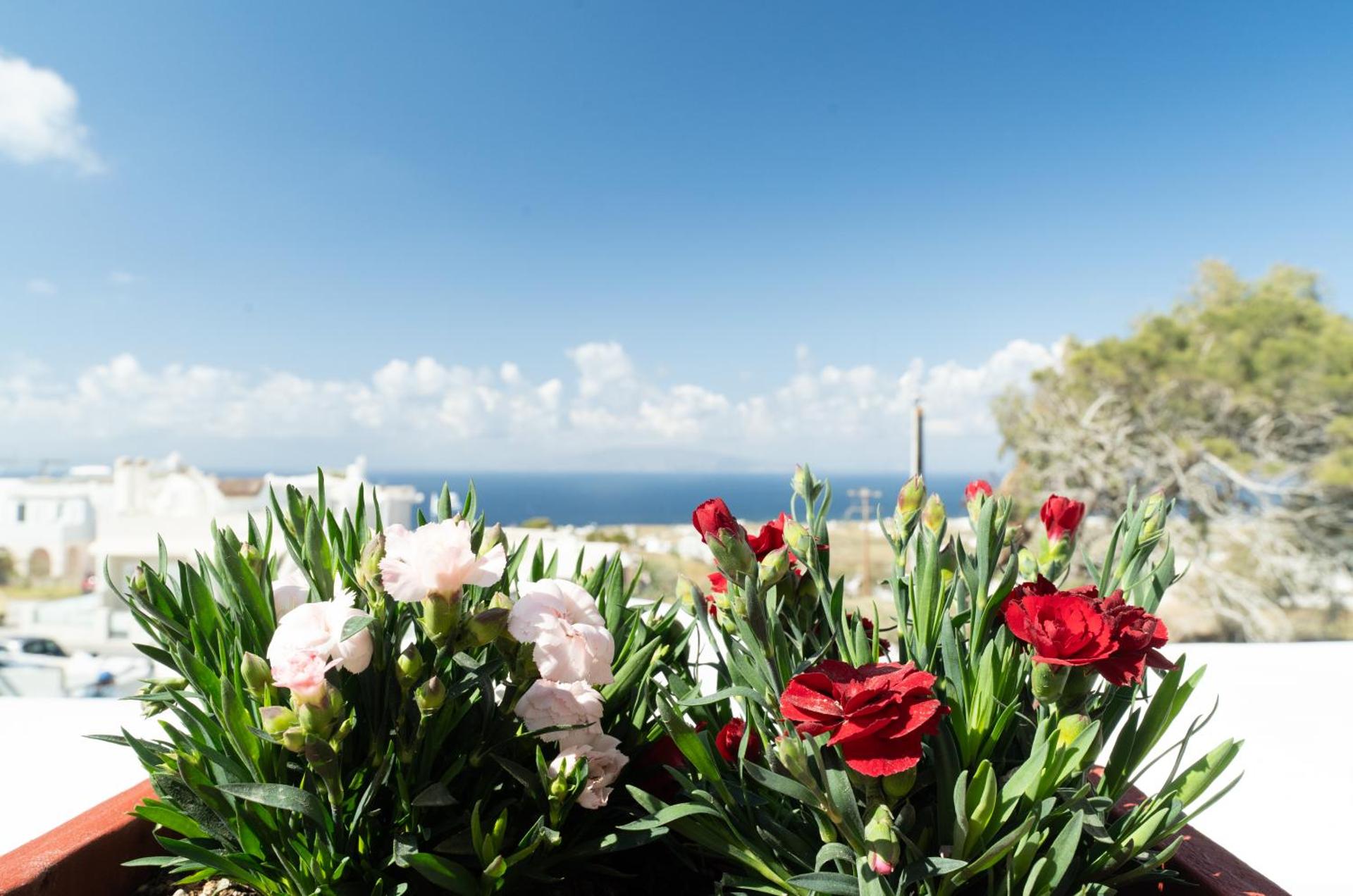 Amerikanos Villas - Photo 10