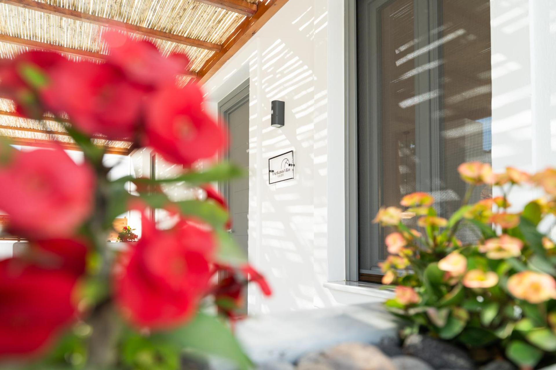 Amerikanos Villas - Photo 13