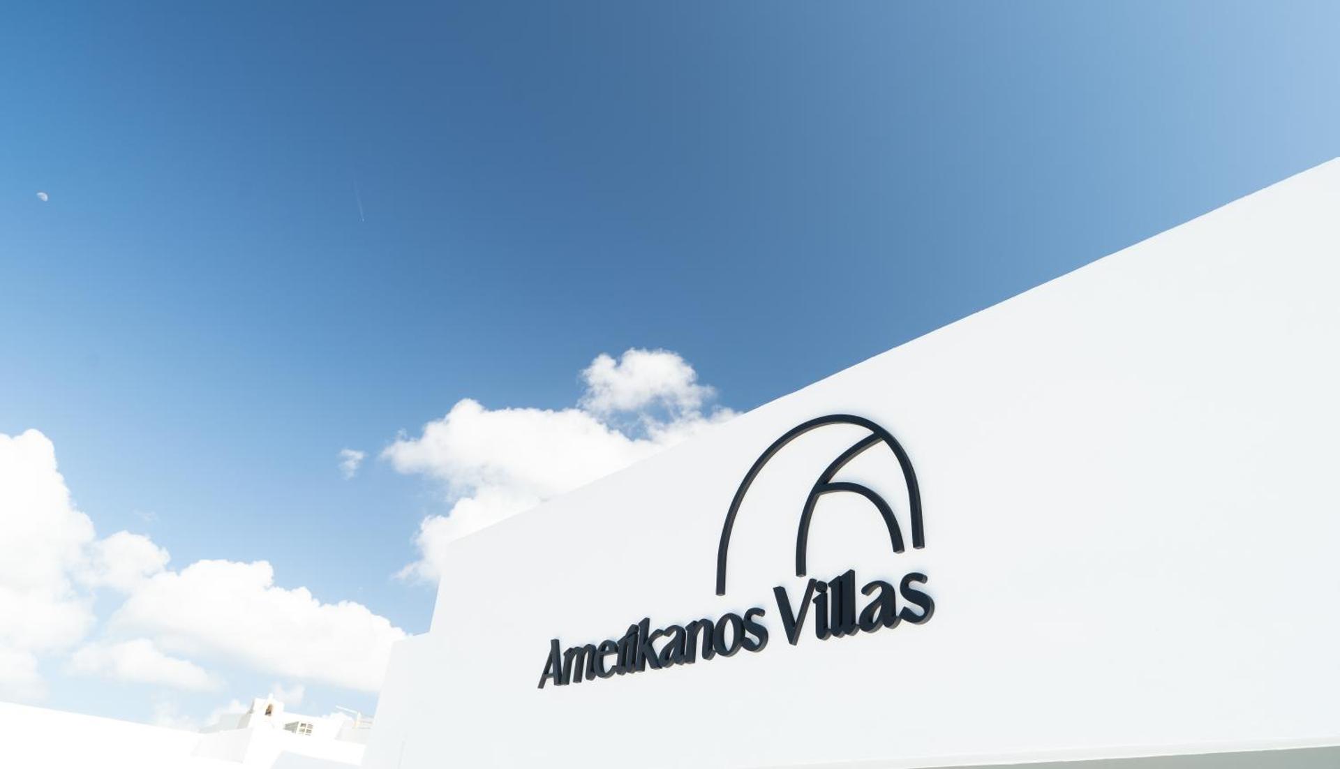 Amerikanos Villas - Photo 98