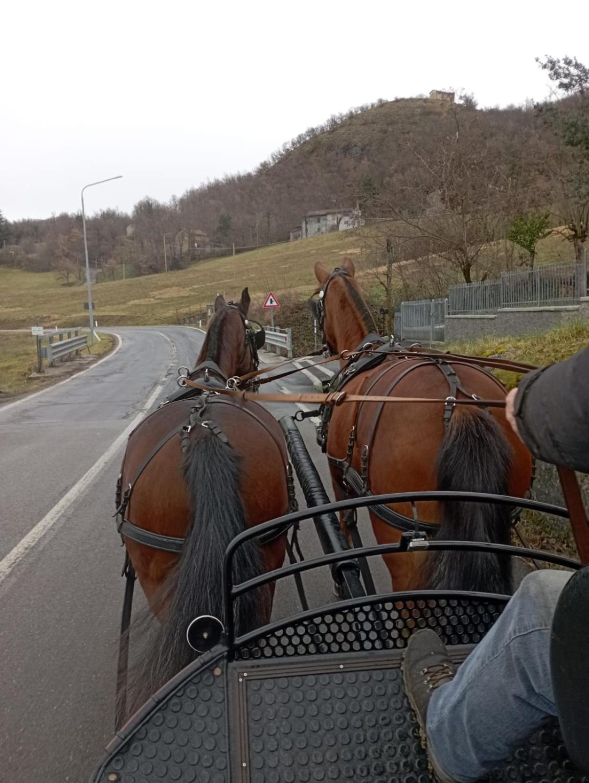Fattoria Ca' di Fatino - Photo 3