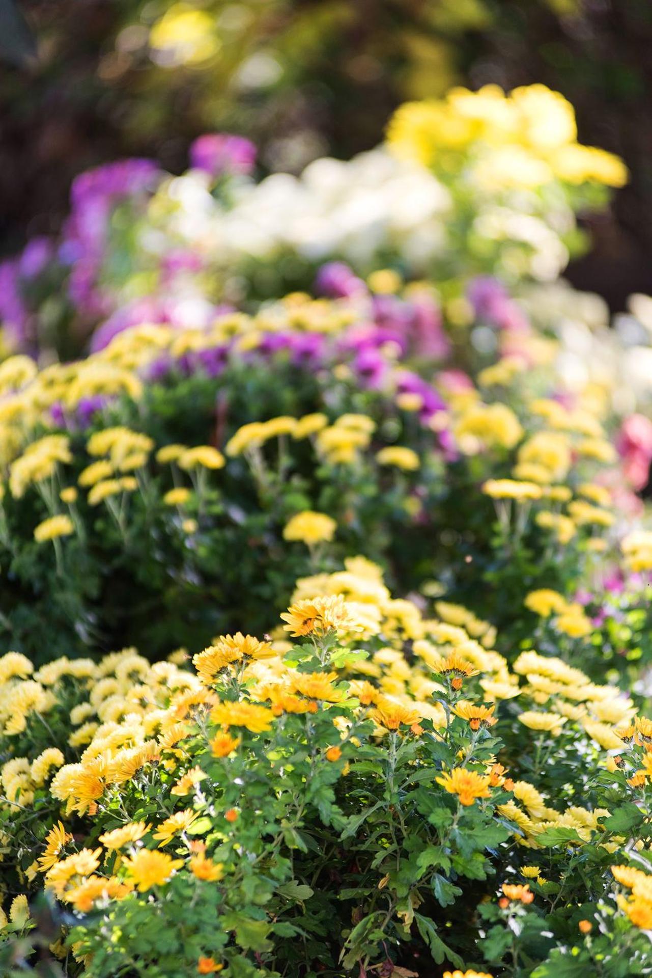 Agriturismo Albarossa - Photo 7