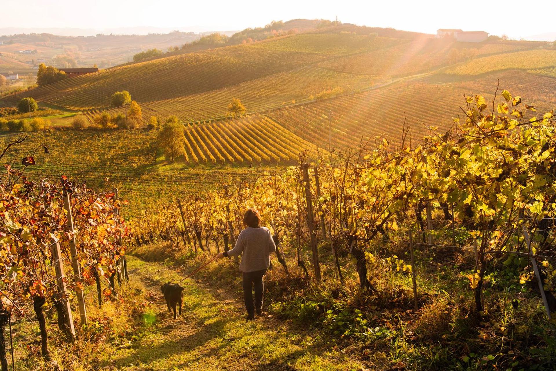 Agriturismo Albarossa - Photo 23