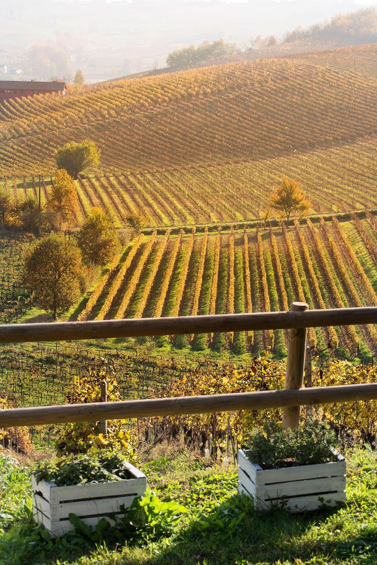 Agriturismo Albarossa - Photo 22