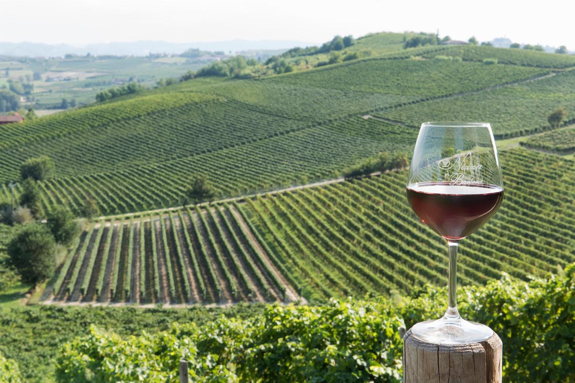 Agriturismo Albarossa - Photo 5