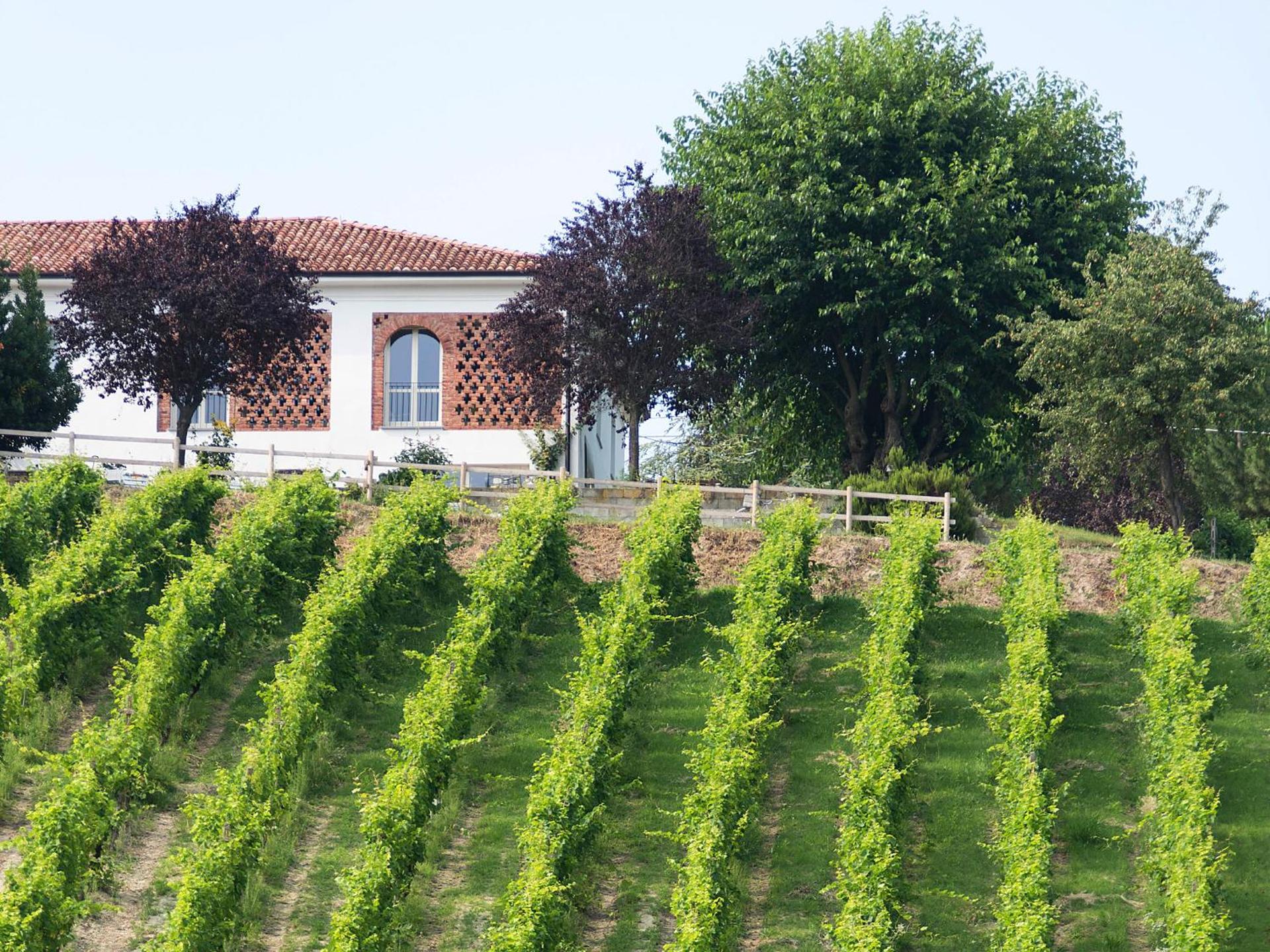 Agriturismo Albarossa - Photo 28