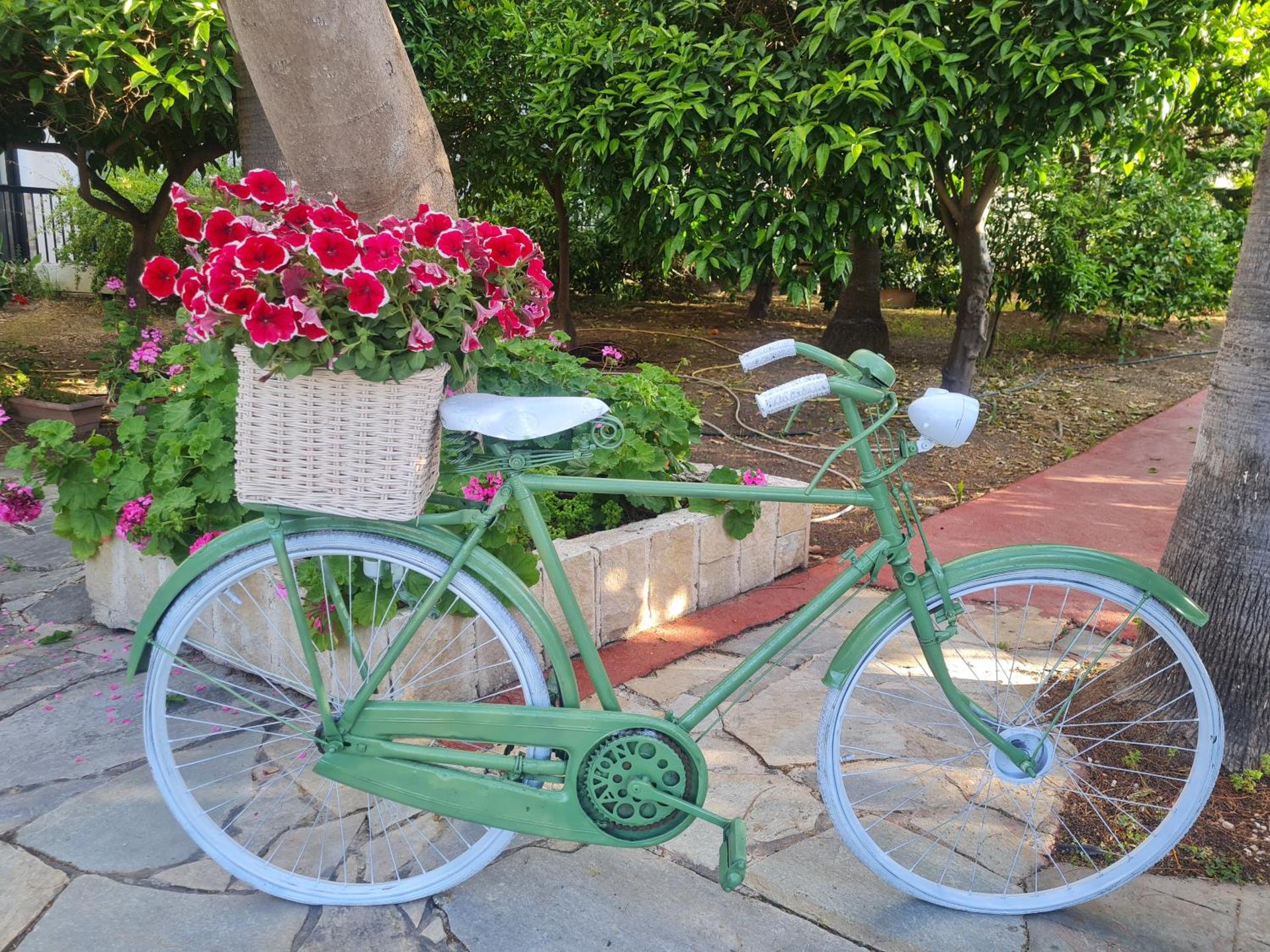 Veronica Hotel - Photo 11