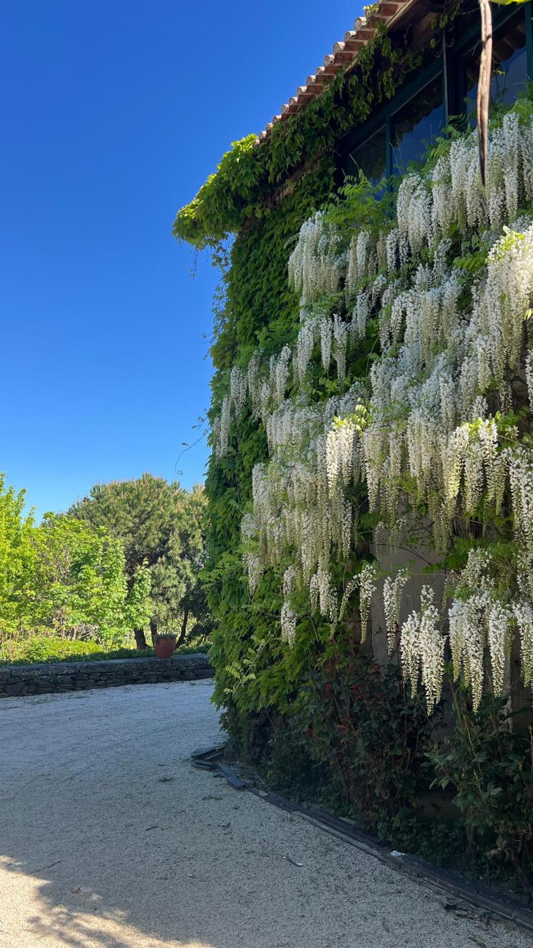 Casa de Sao Miguel Douro - Photo 180