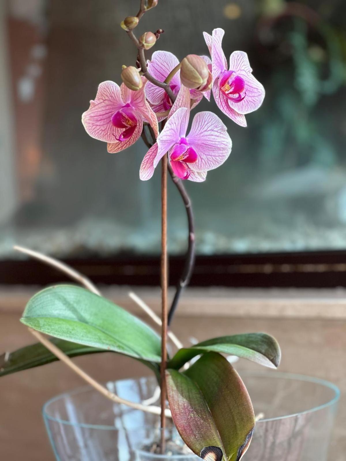 Hotel Miramare - Photo 42