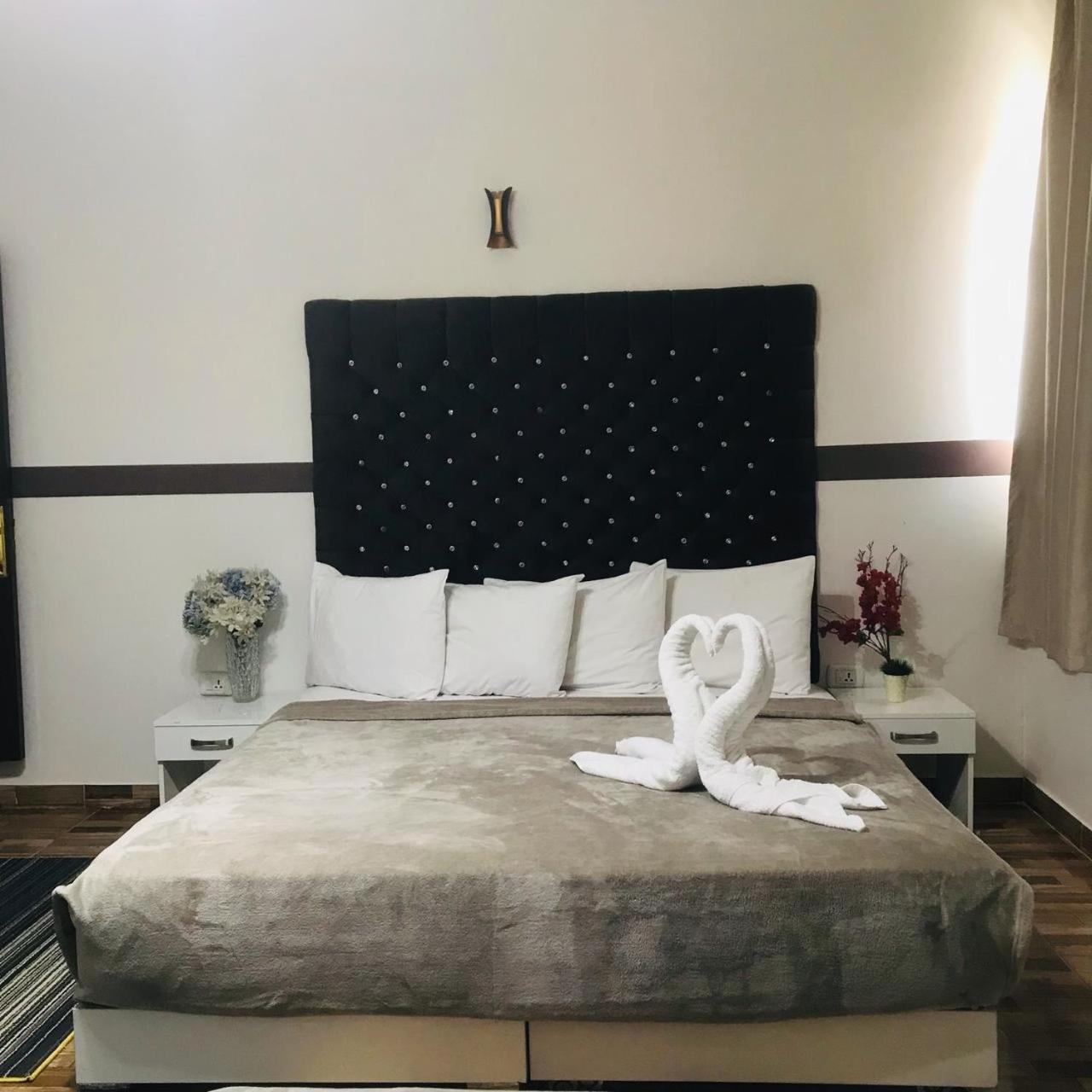 Hotel velvet One - Photo 68