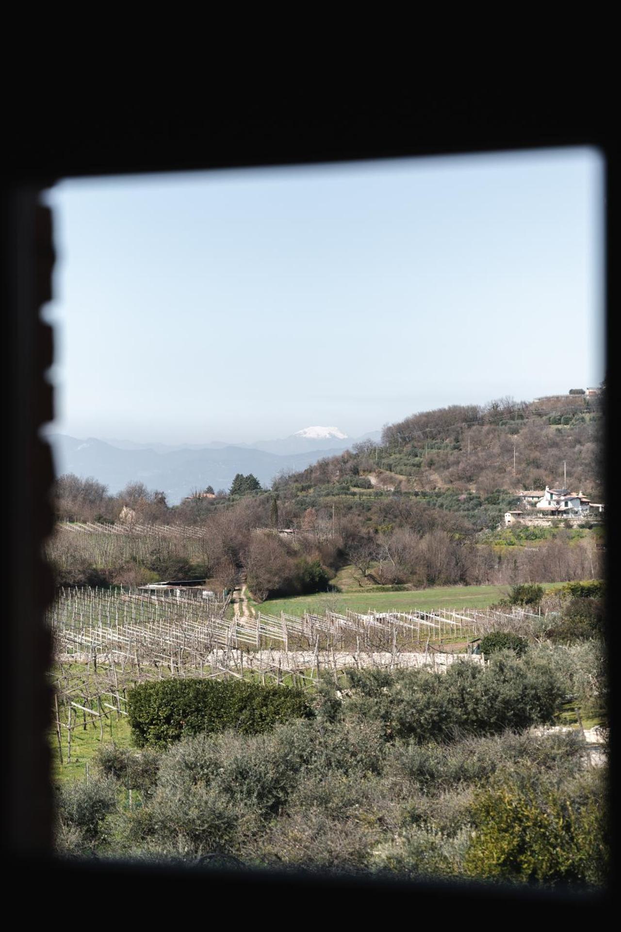 Corte Castello - Photo 74