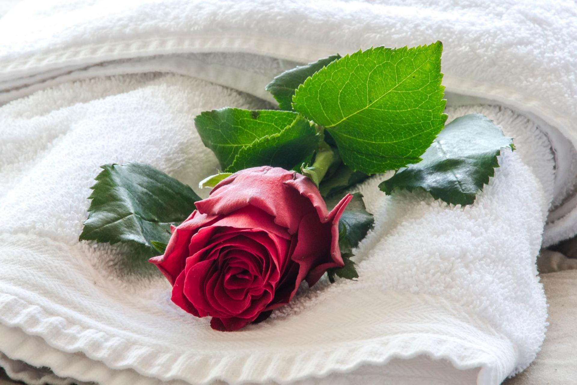 Single Room - Photo 4