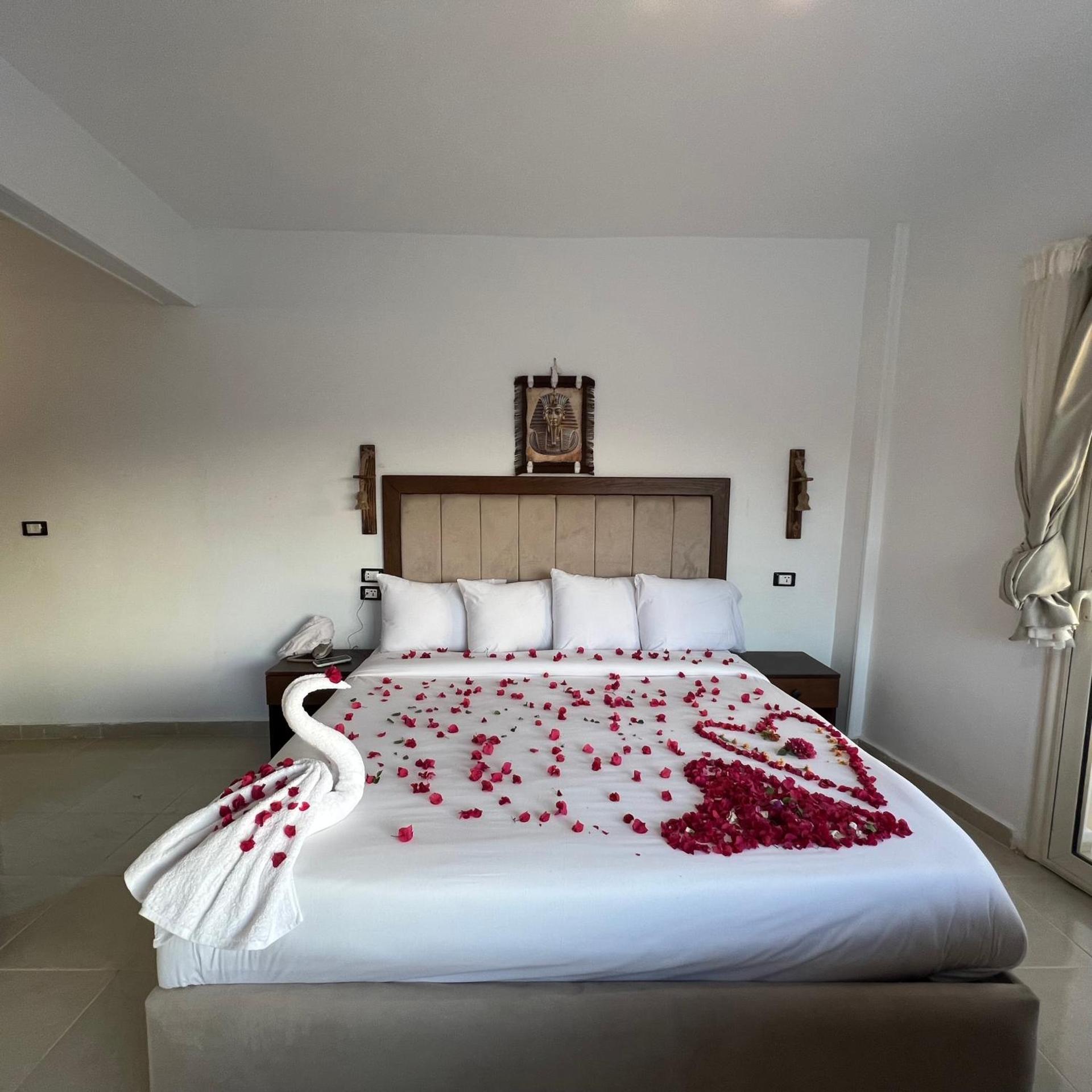 Citadel of pyramids - Photo 8