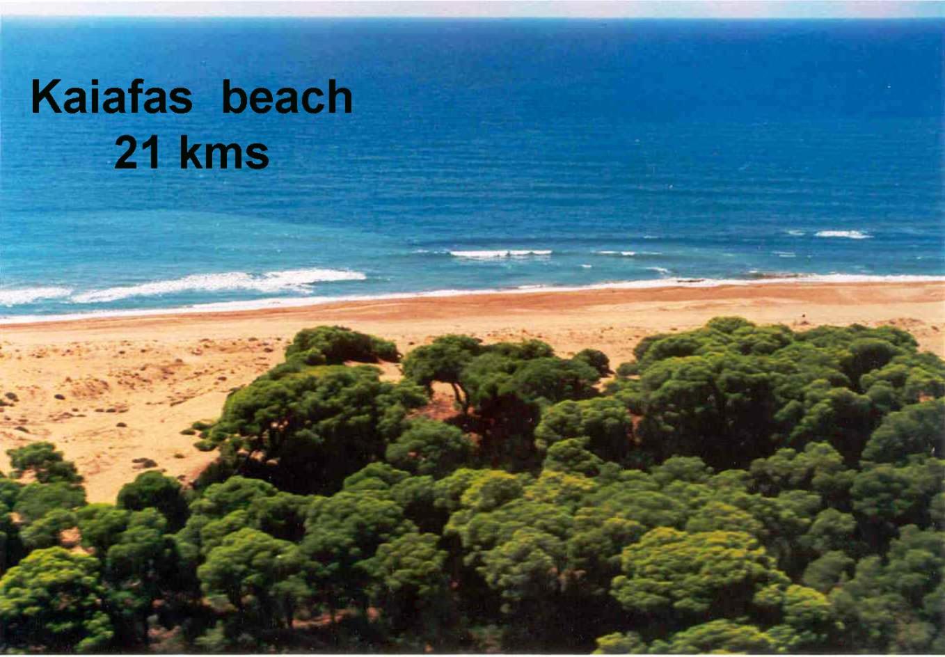 Hotel Kronio - Photo 23