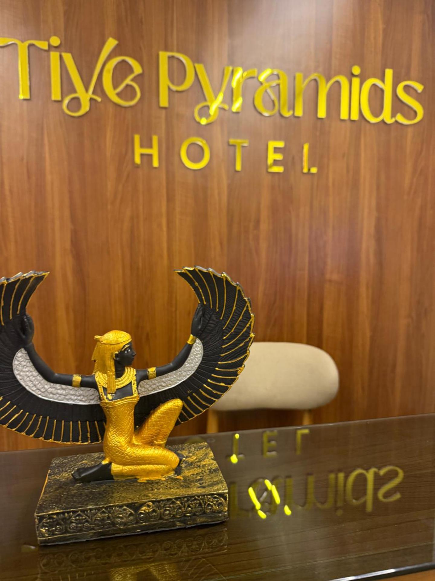 Tiye Pyramids Hotel - Photo 140