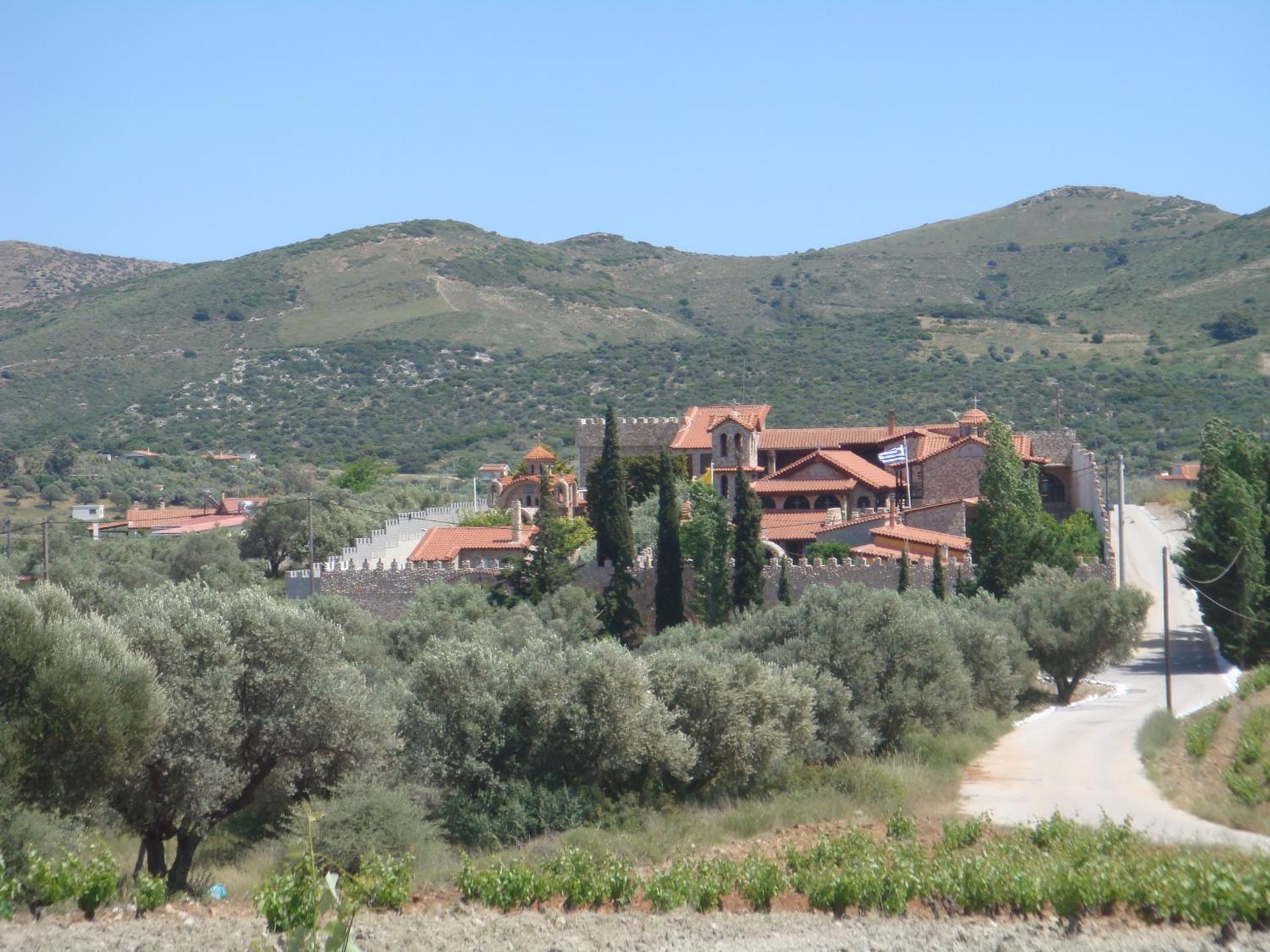 Sandra's Sea View at Sounio - Photo 45