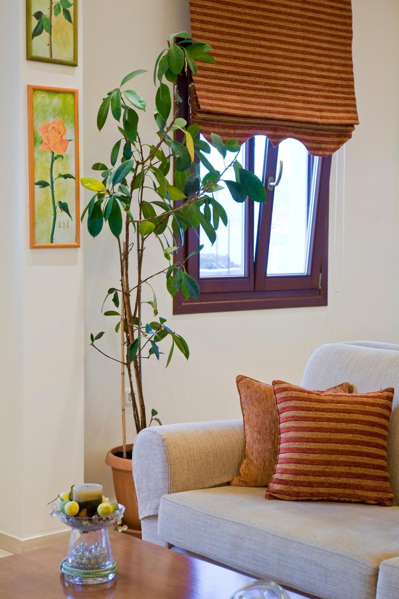 Yiannaki Hotel - Photo 7