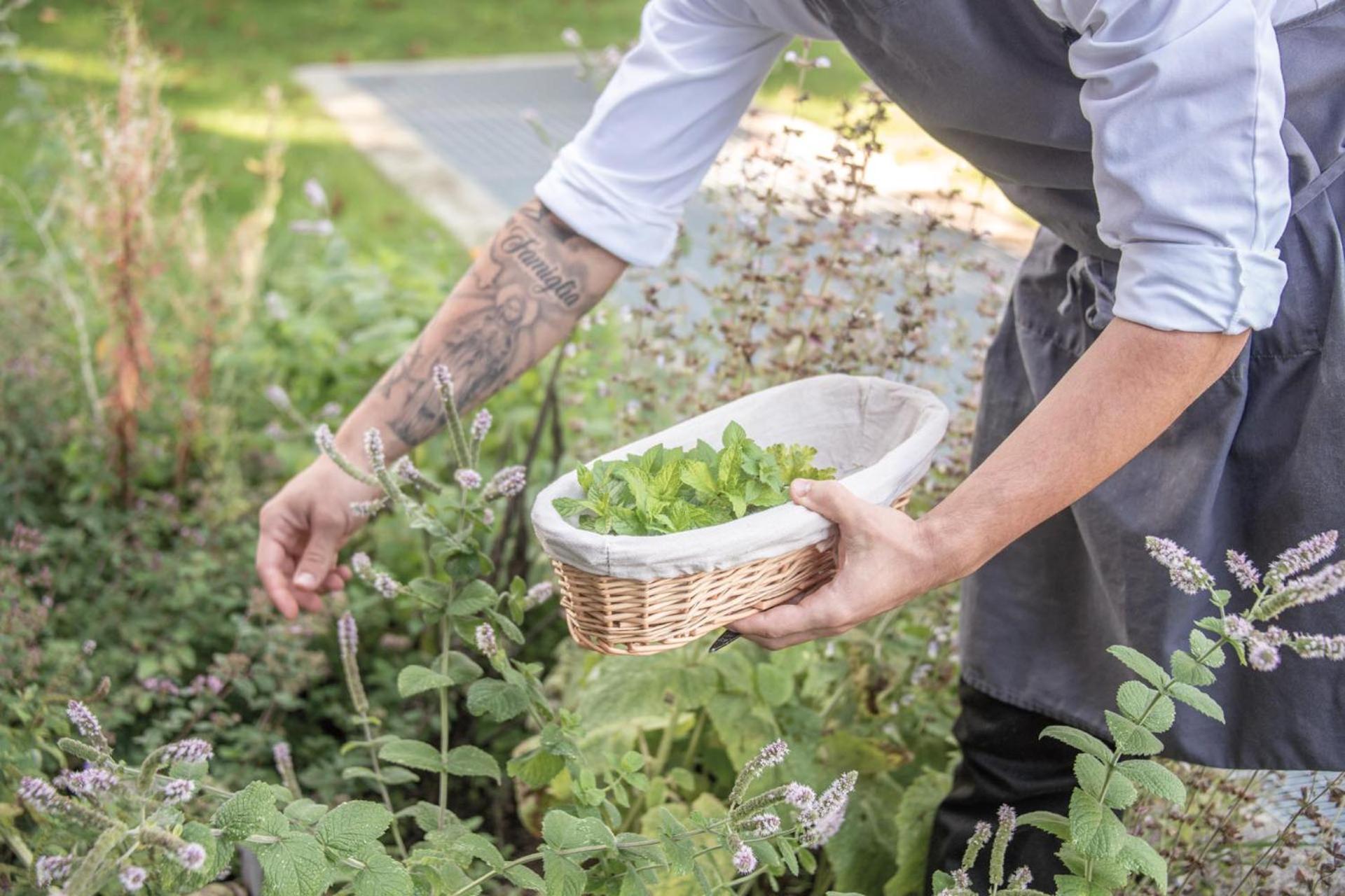 Hotel ANDER - Photo 7