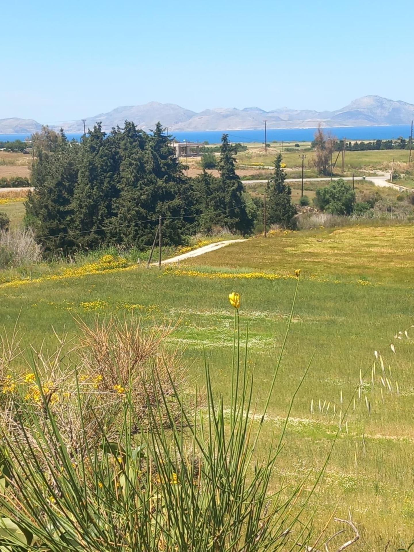 Villa Panoramica - Photo 4