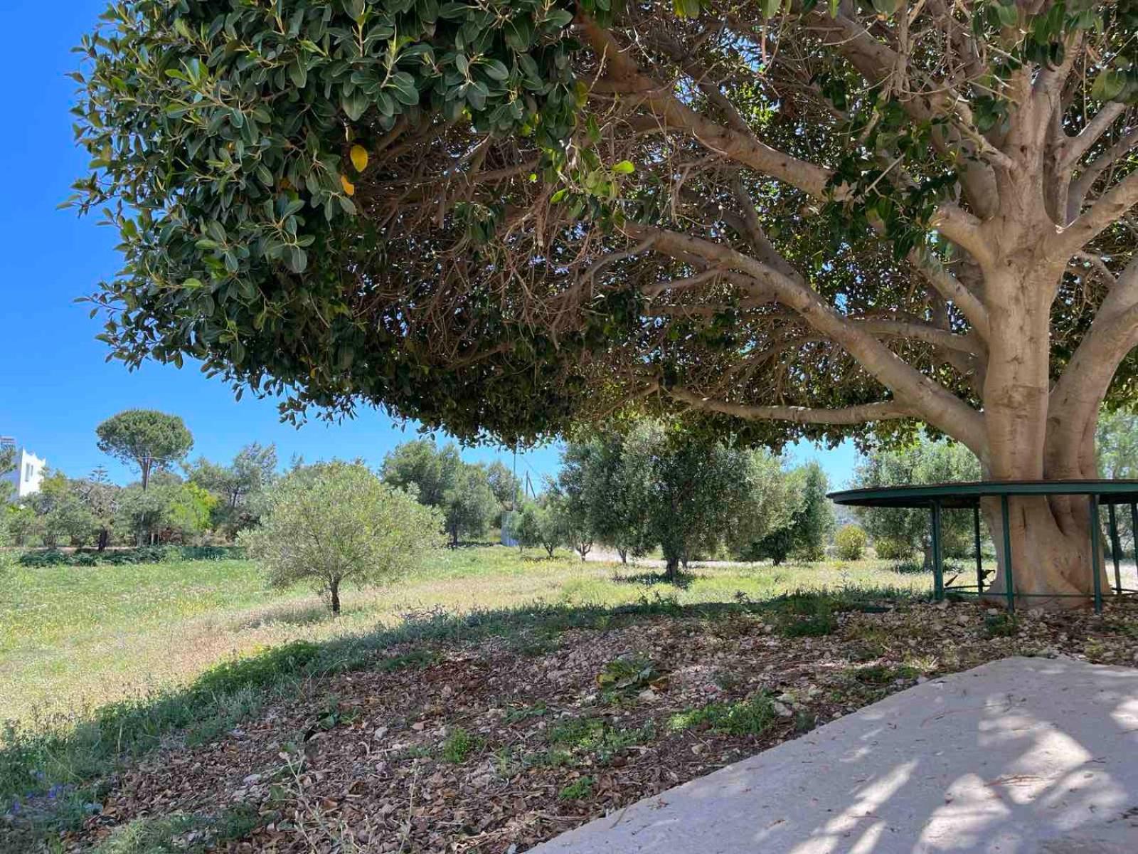 Villa Panoramica - Photo 11