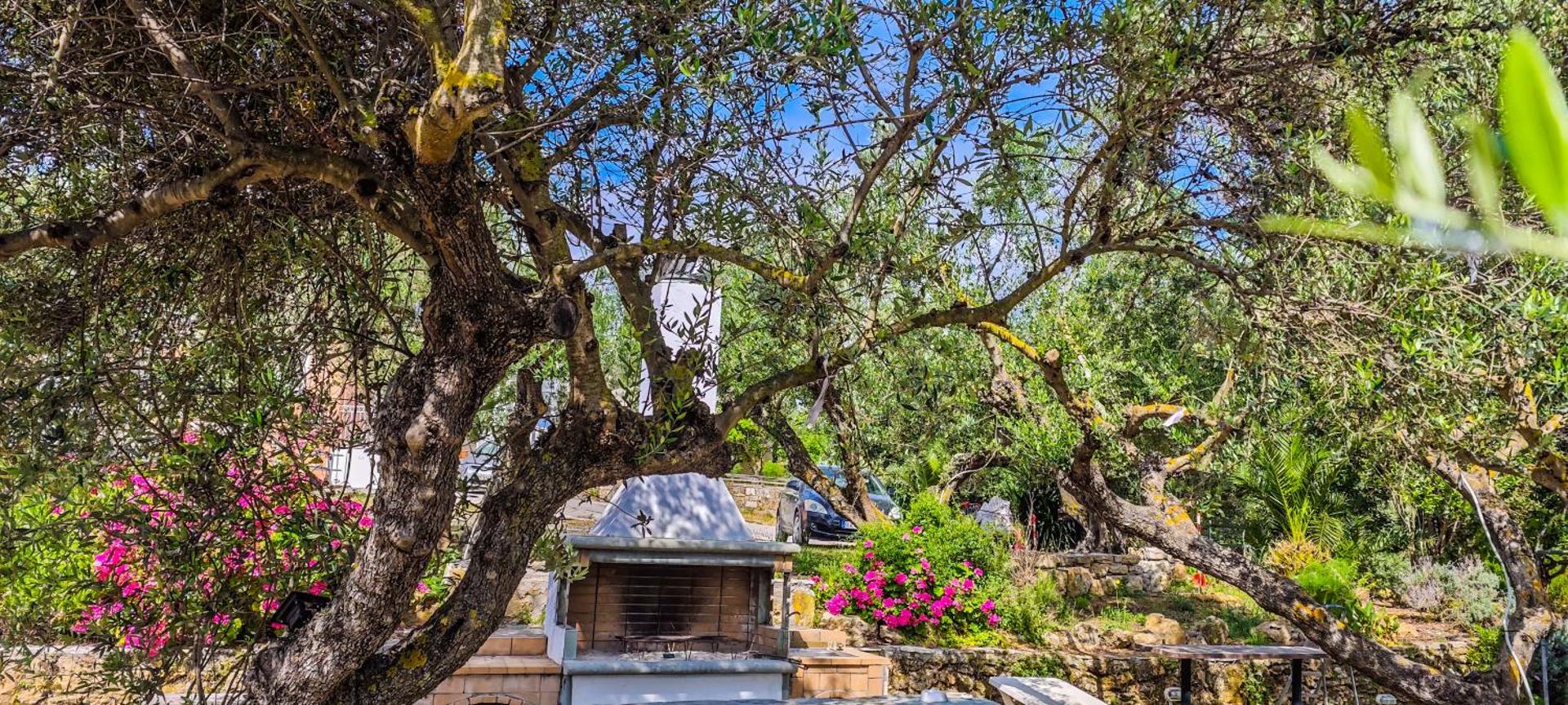 Forestata Village - Photo 130