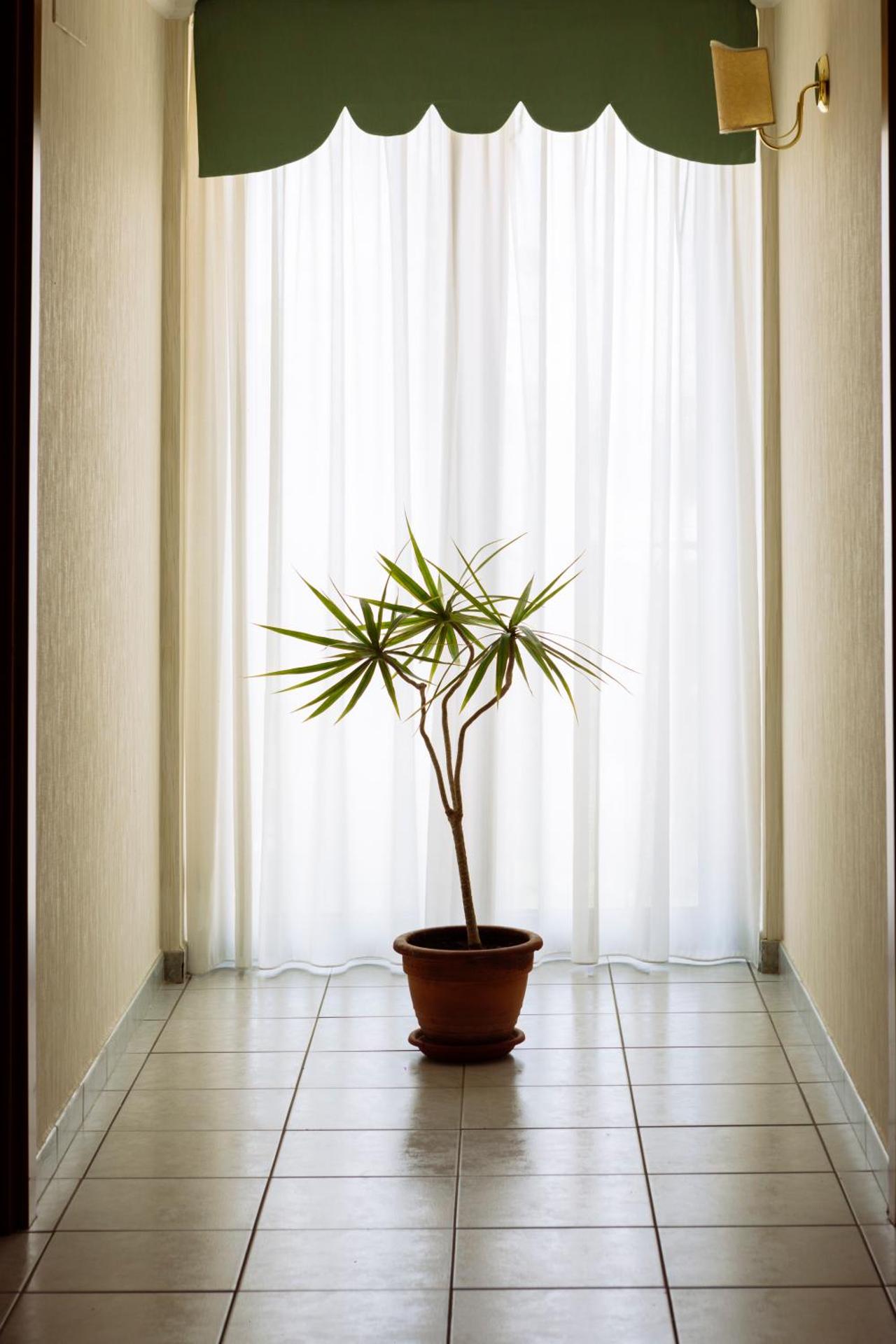 Hotel Leon - Ristorante Al Cavallino Rosso - Photo 42