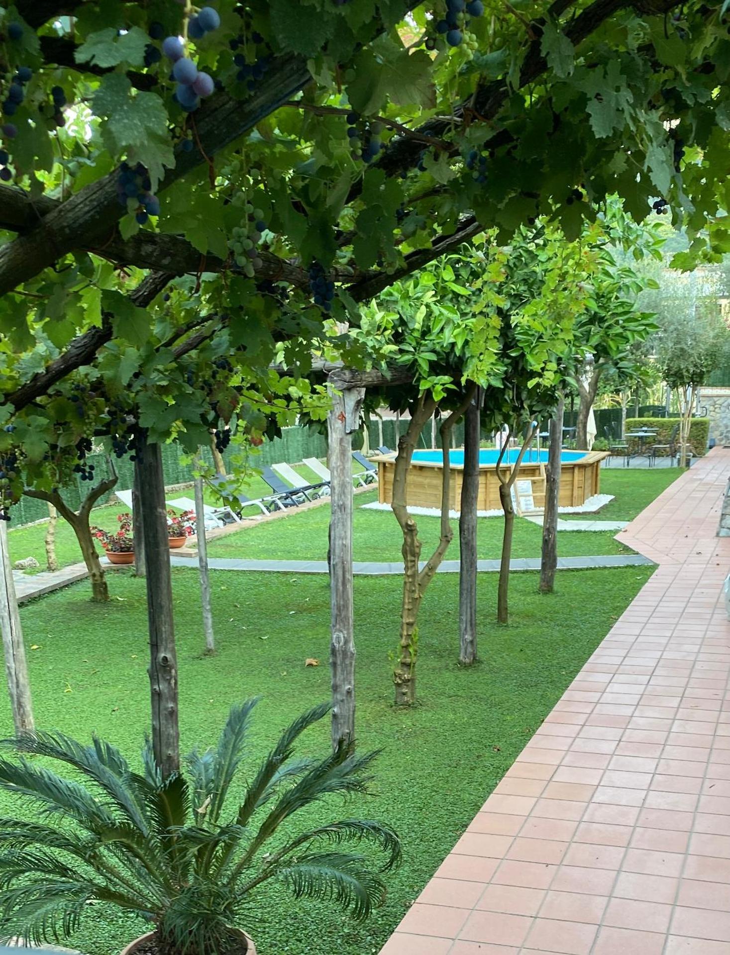 Farfalle E Gabbiani - Photo 25