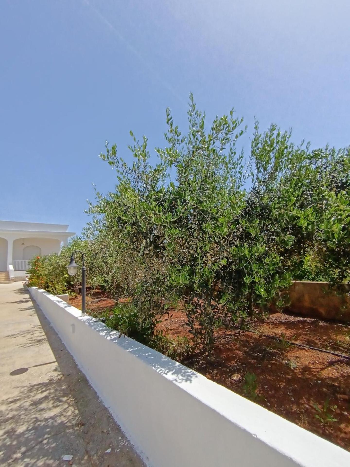 Villa Mele - Photo 32